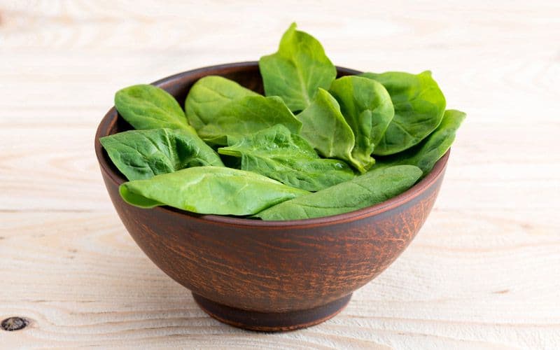 Spinach for dogs